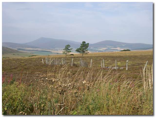 Landskap på gränsen mellan Moray och Aberdeenshire