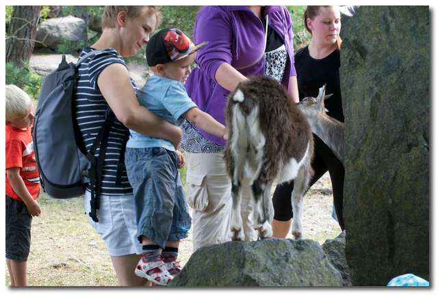 Björm klappar get